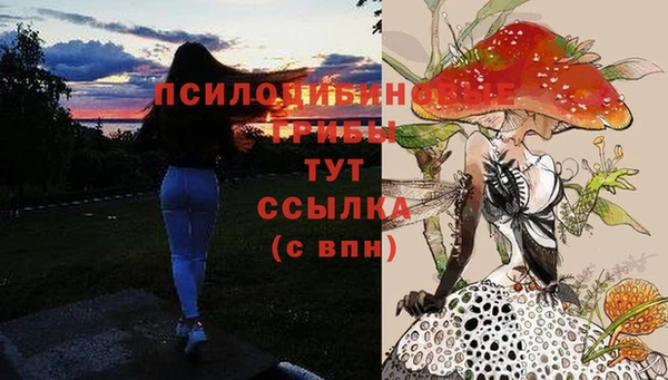 винт Богородицк