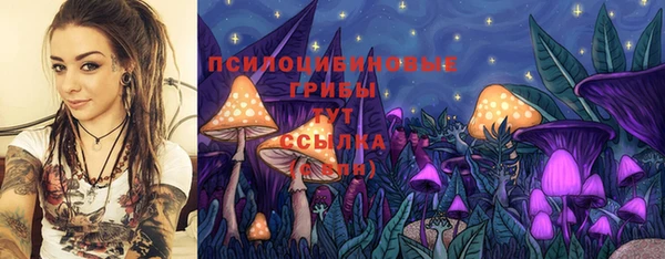 прущая мука Богородск