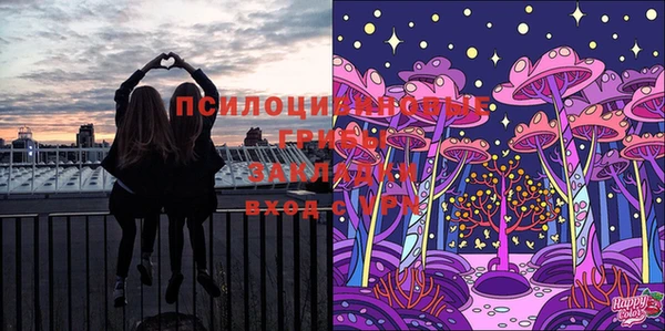 мяу мяу мука Белокуриха