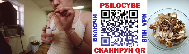 купить наркоту  гидра ONION  Псилоцибиновые грибы Magic Shrooms  Будённовск 